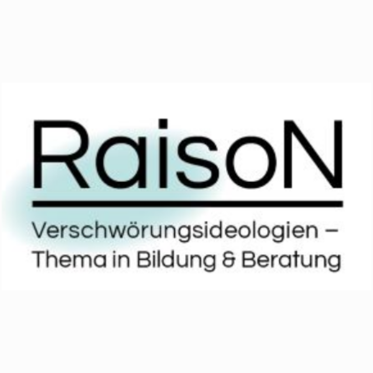 RaisoN logo bigger